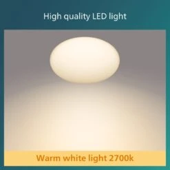 Philips Shan Indoor Motion Sensor Flush To Ceiling Light -Home Furnishing Store 1122561 R Z004A