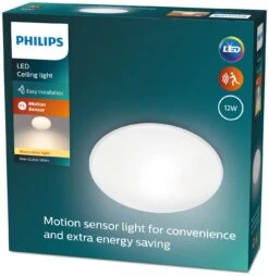 Philips Shan Indoor Motion Sensor Flush To Ceiling Light -Home Furnishing Store 1122561 R Z008A