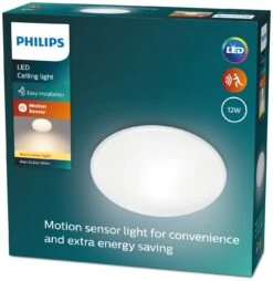 Philips Shan Indoor Motion Sensor Flush To Ceiling Light -Home Furnishing Store 1122561 R Z009A