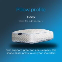 Snuggledown Bliss Cool Touch Memory Foam Firm Pillow -Home Furnishing Store 2253518 R Z004A