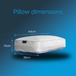 Snuggledown Bliss Cool Touch Memory Foam Firm Pillow -Home Furnishing Store 2253518 R Z008A