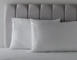 Habitat Anti-Allergy Firm Pillow - 2 Pack 13 Habitat Anti-Allergy Firm Pillow - 2 Pack -Home Furnishing Store 2910765 R Z004C