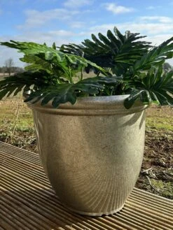 Terrastyle 45cm Plastic Metalic Silver Planter -Home Furnishing Store 2992336 R Z003A