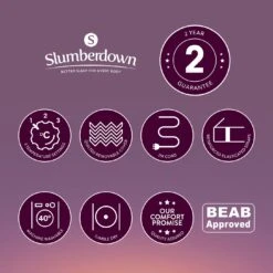 Slumberdown Comfy Cosy Nights Electric Blanket - Single -Home Furnishing Store 3205345 R Z011A