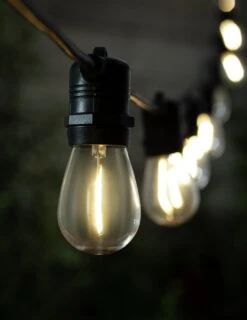 Habitat Warm White Filament Bulb Festoon Lights -Home Furnishing Store 9556562 R Z002C